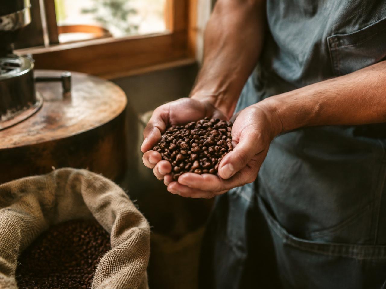 Roasted coffee beans held in cupped hands